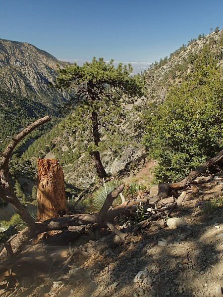 2014 Mt Baldy Cali 041.JPG - Summit Mt San Antonio (Mt Baldy) California